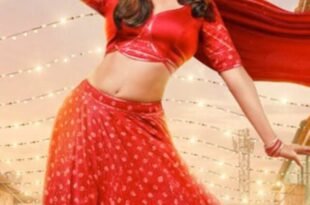 Dream-Girl-2-Box-Office-Collection-Day2
